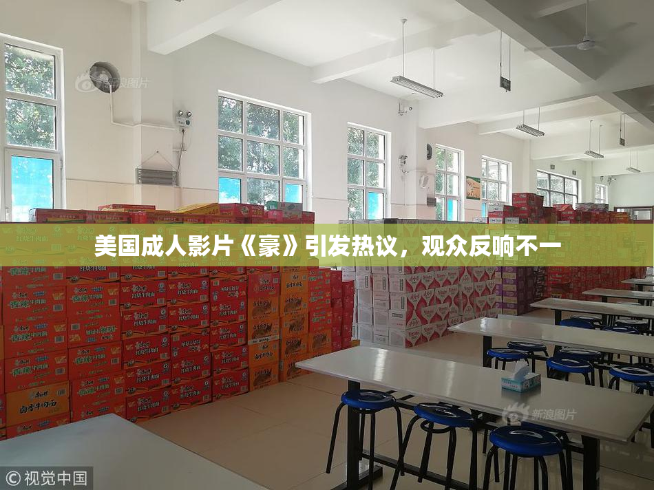 美国成人影片《豪》引发热议，观众反响不一