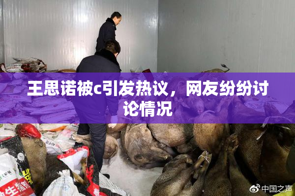 王思诺被c引发热议，网友纷纷讨论情况