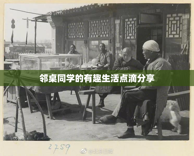 邻桌同学的有趣生活点滴分享