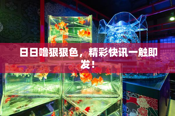 日日噜狠狠色，精彩快讯一触即发！
