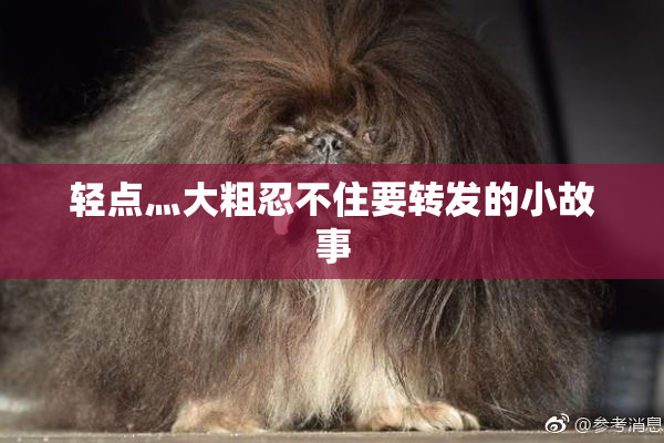 轻点灬大粗忍不住要转发的小故事