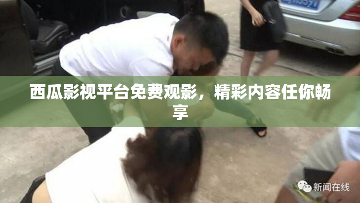 西瓜影视平台免费观影，精彩内容任你畅享
