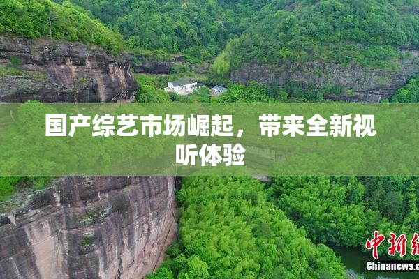 国产综艺市场崛起，带来全新视听体验