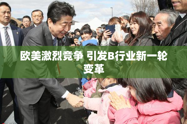 欧美激烈竞争 引发B行业新一轮变革