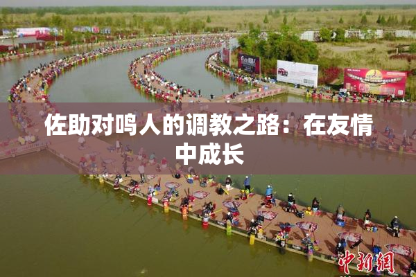佐助对鸣人的调教之路：在友情中成长