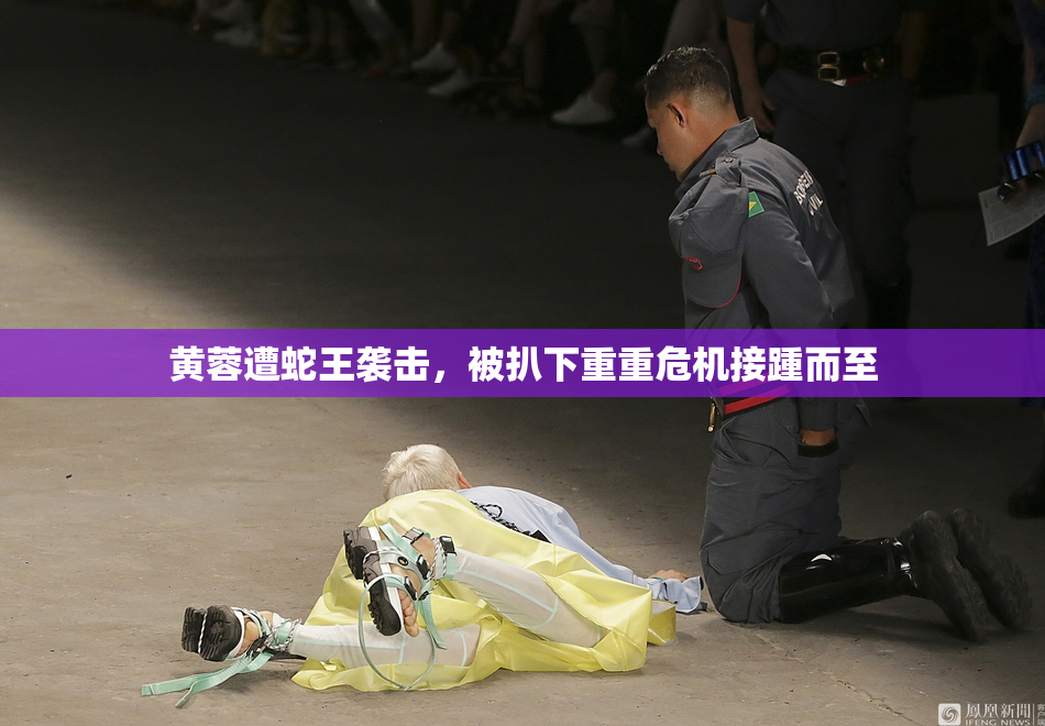 黄蓉遭蛇王袭击，被扒下重重危机接踵而至