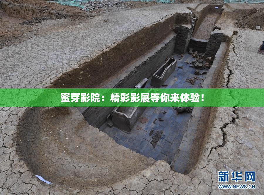 蜜芽影院：精彩影展等你来体验！