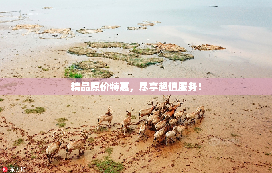 精品原价特惠，尽享超值服务！
