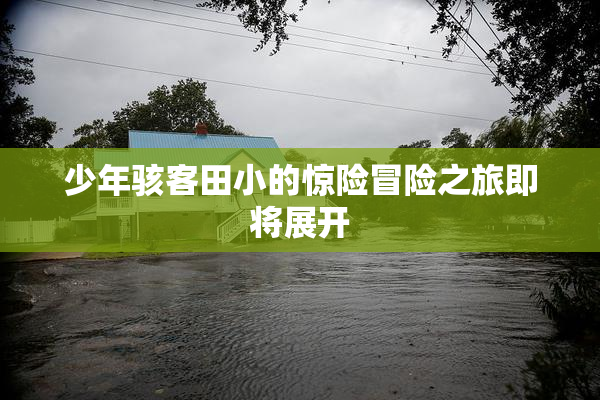 少年骇客田小的惊险冒险之旅即将展开