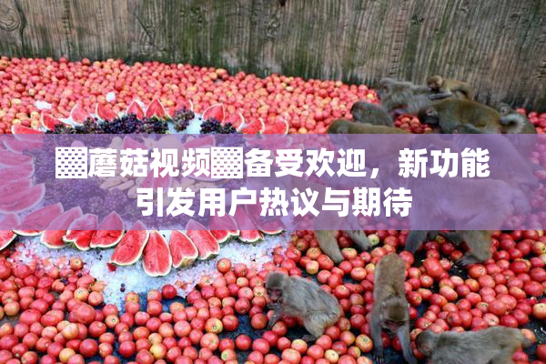 ▓蘑菇视频▓备受欢迎，新功能引发用户热议与期待