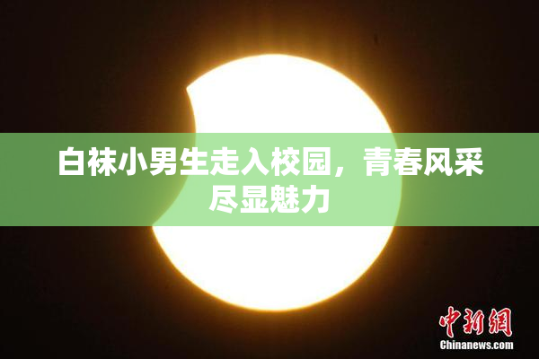 白袜小男生走入校园，青春风采尽显魅力