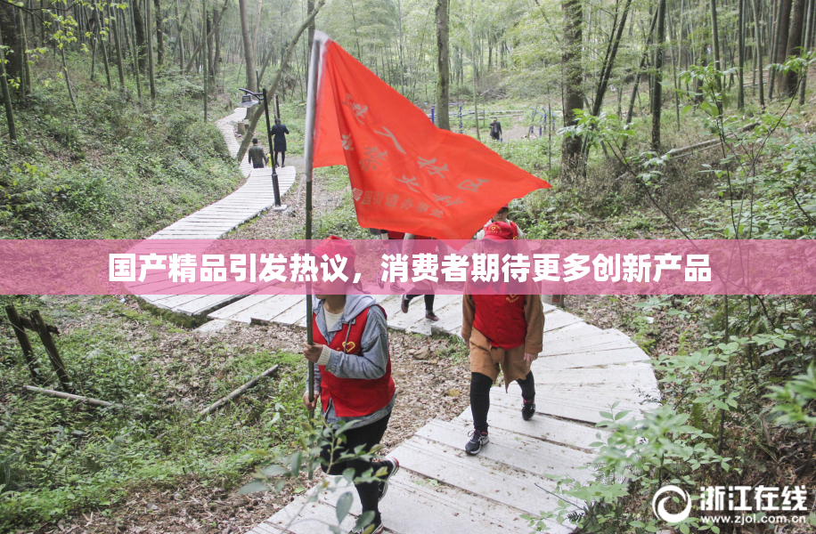 国产精品引发热议，消费者期待更多创新产品