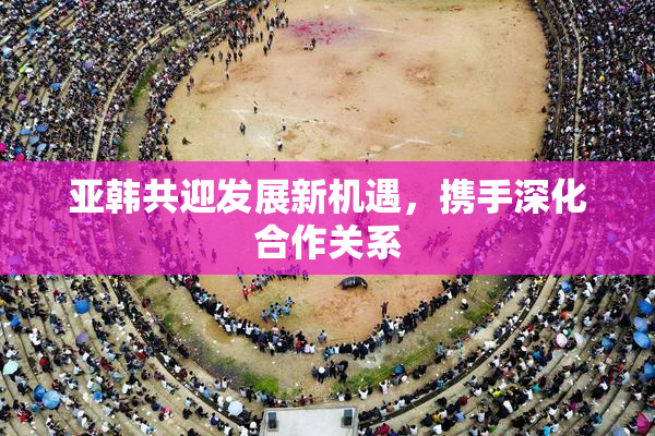 亚韩共迎发展新机遇，携手深化合作关系
