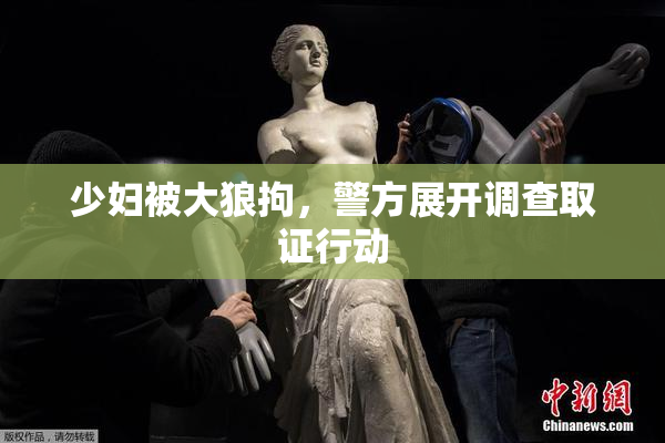 少妇被大狼拘，警方展开调查取证行动