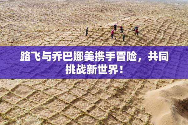 路飞与乔巴娜美携手冒险，共同挑战新世界！
