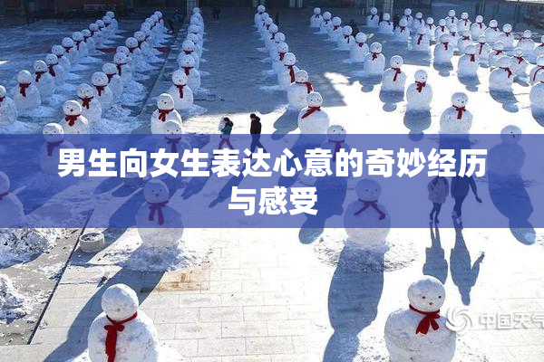 男生向女生表达心意的奇妙经历与感受