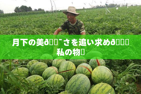 月下の美🔯さを追い求め🌃私の物語