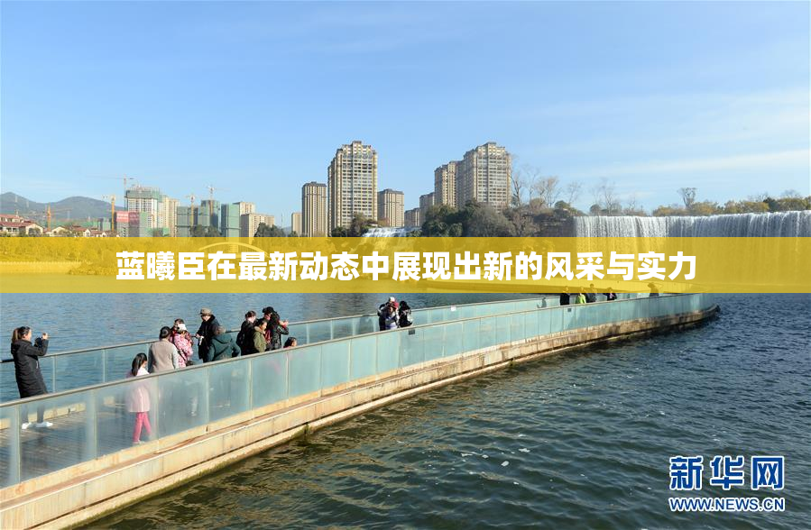 蓝曦臣在最新动态中展现出新的风采与实力