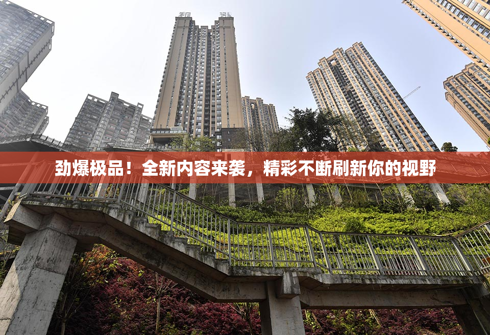 劲爆极品！全新内容来袭，精彩不断刷新你的视野