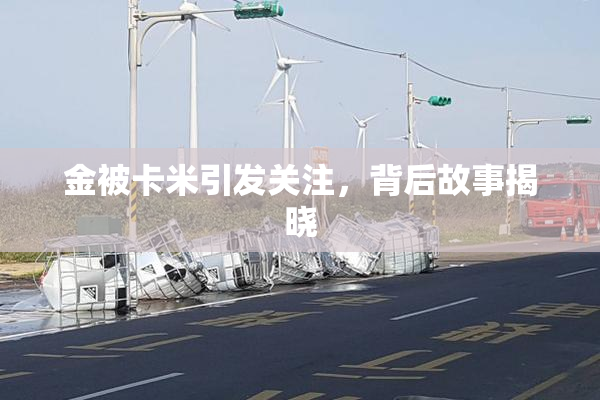 金被卡米引发关注，背后故事揭晓