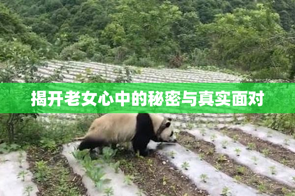揭开老女心中的秘密与真实面对