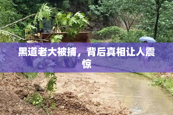 黑道老大被捕，背后真相让人震惊