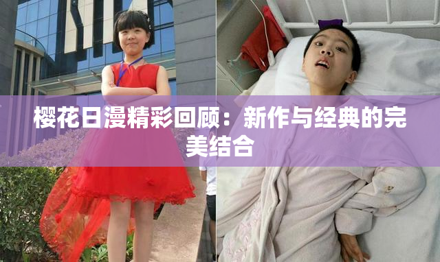 樱花日漫精彩回顾：新作与经典的完美结合