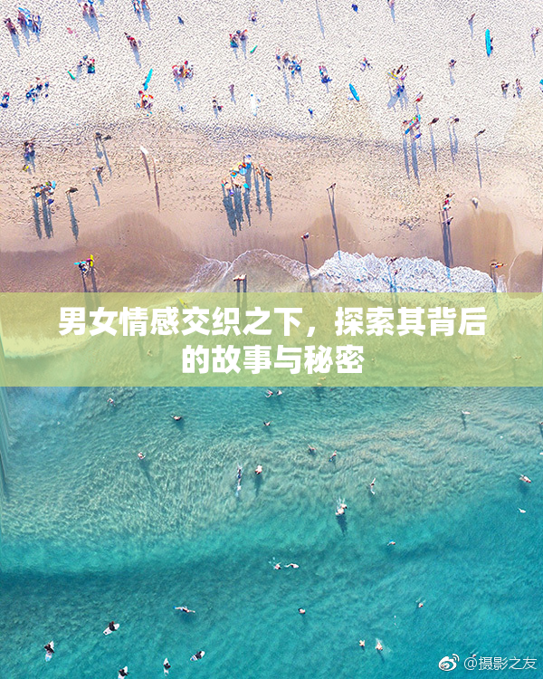 男女情感交织之下，探索其背后的故事与秘密