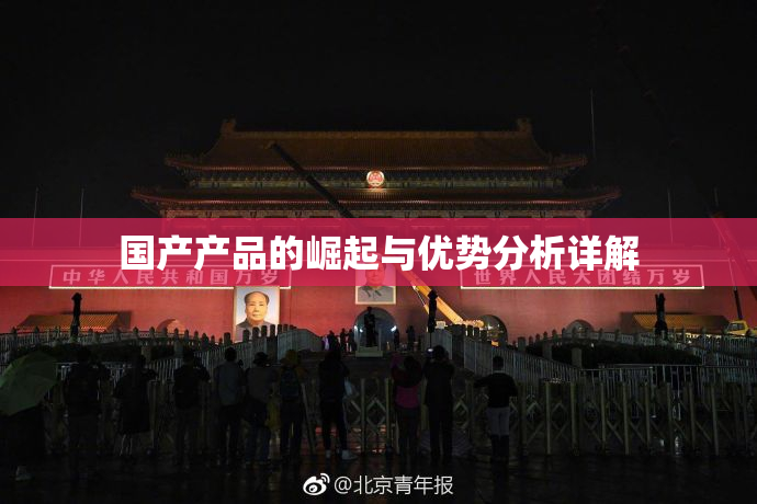 国产产品的崛起与优势分析详解
