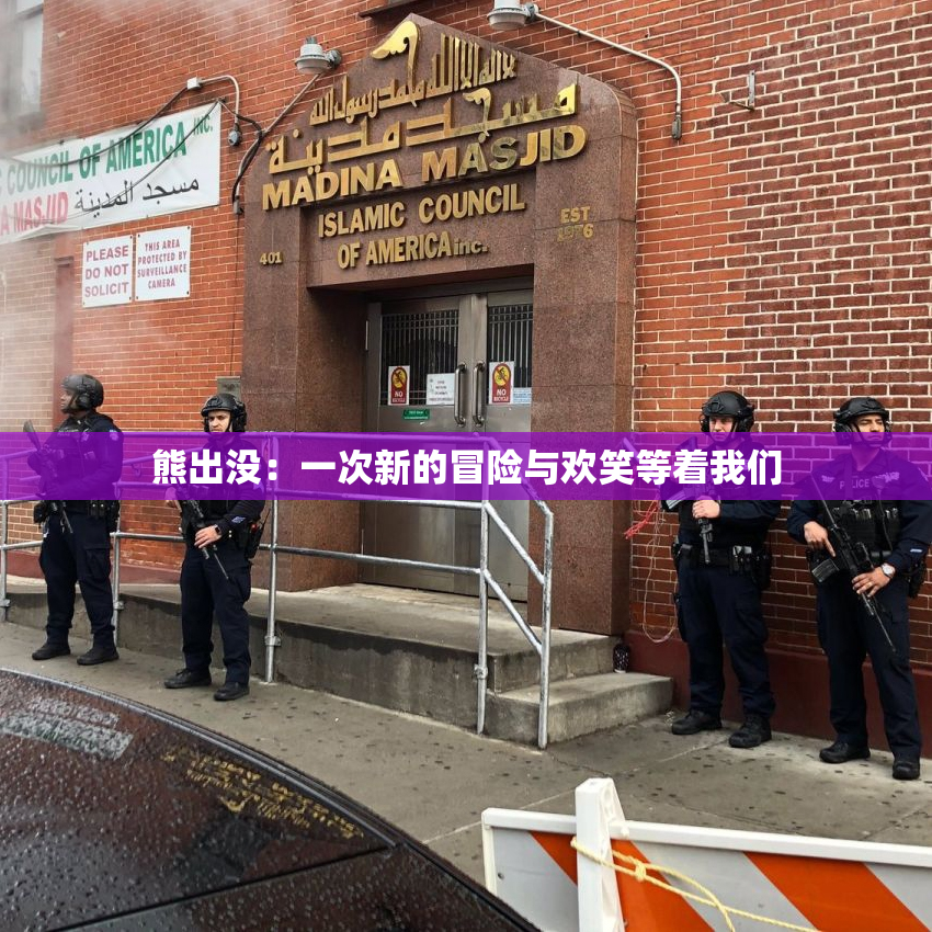 熊出没：一次新的冒险与欢笑等着我们