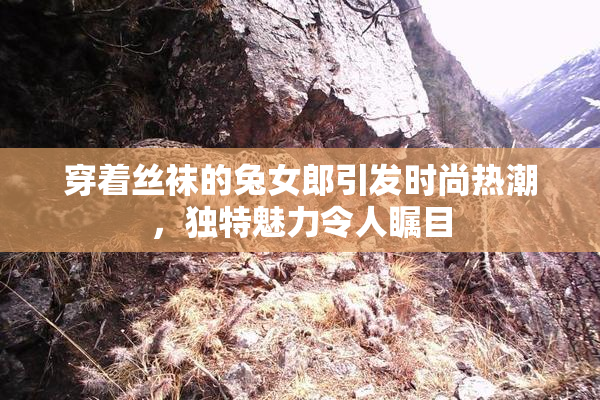 穿着丝袜的兔女郎引发时尚热潮，独特魅力令人瞩目