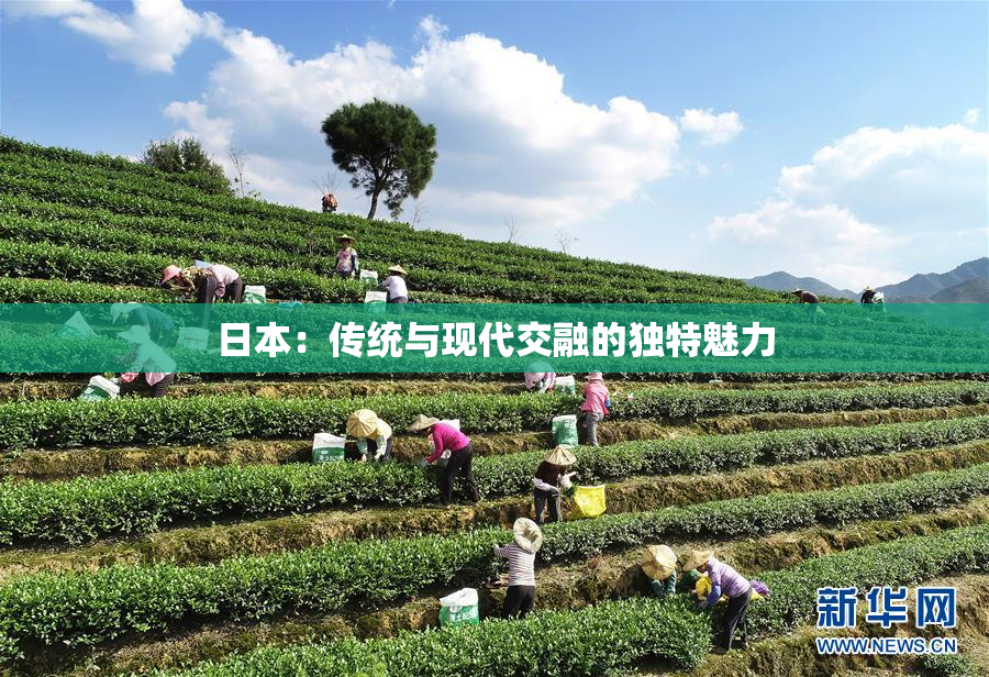 日本：传统与现代交融的独特魅力