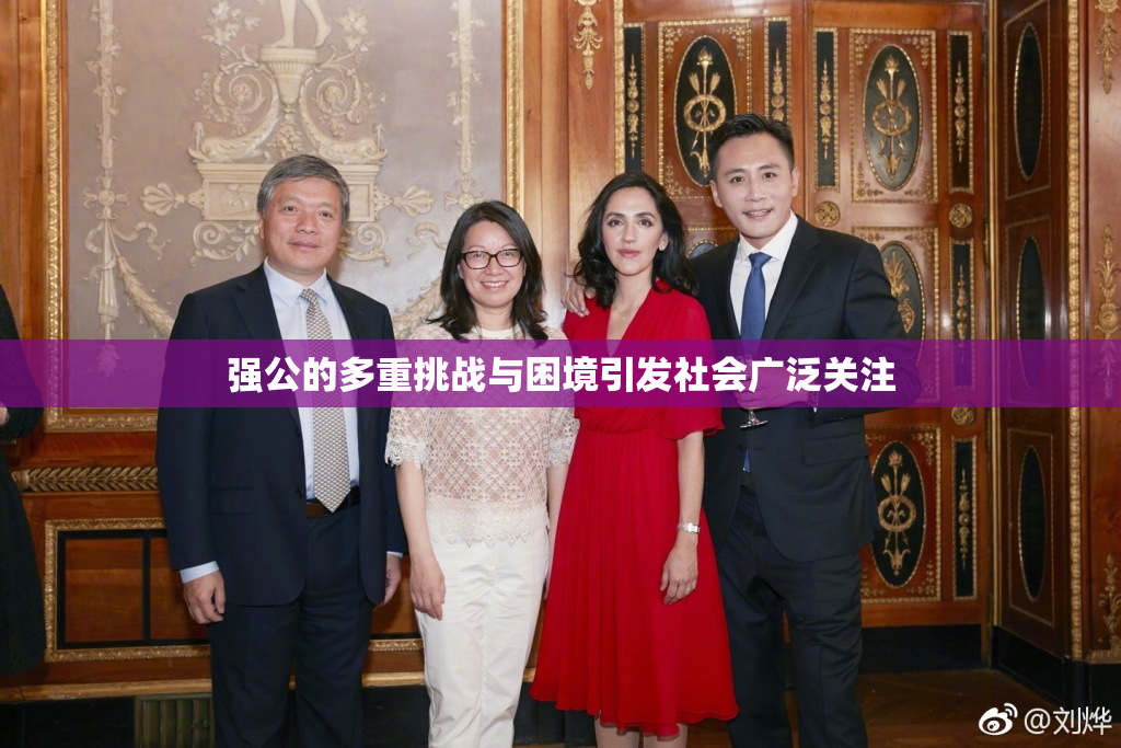 强公的多重挑战与困境引发社会广泛关注