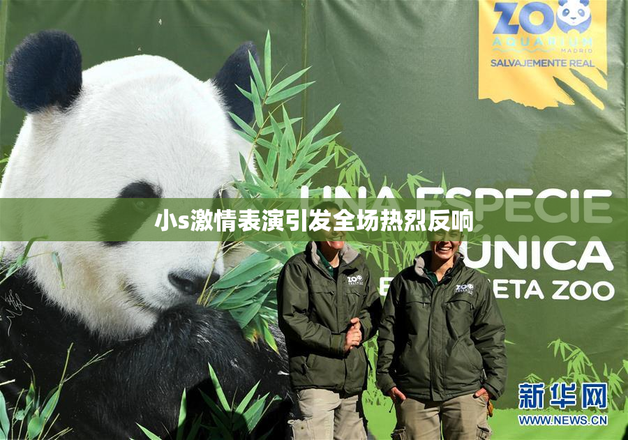 小s激情表演引发全场热烈反响