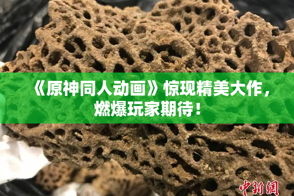 《原神同人动画》惊现精美大作，燃爆玩家期待！