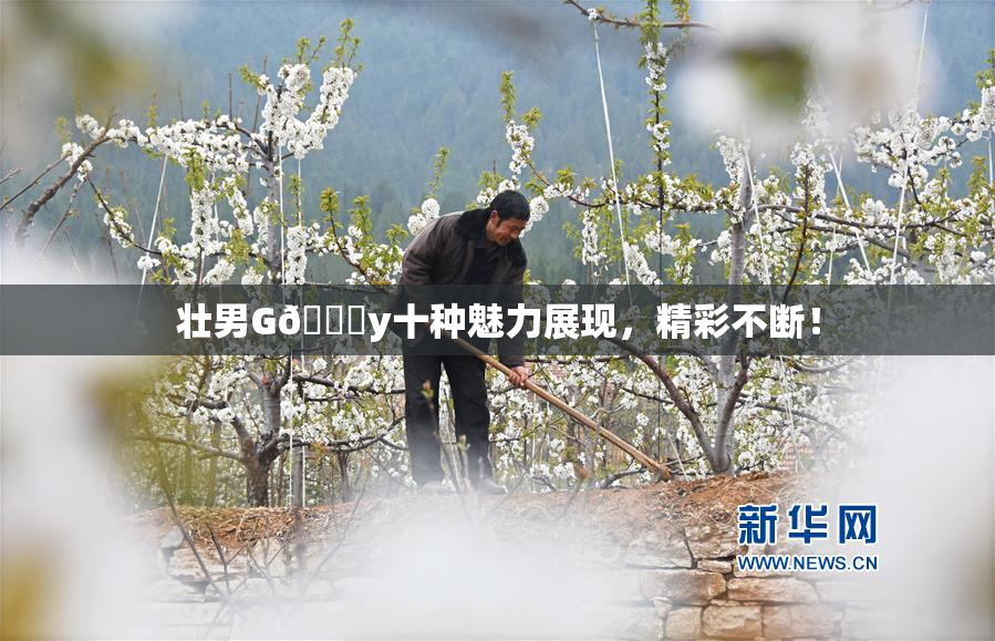 壮男G🈚y十种魅力展现，精彩不断！