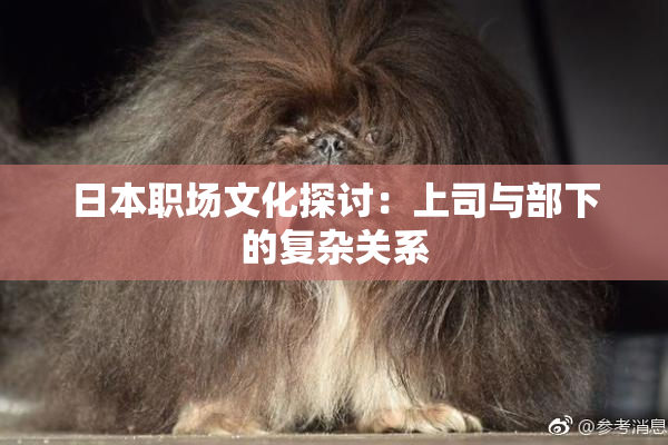 日本职场文化探讨：上司与部下的复杂关系