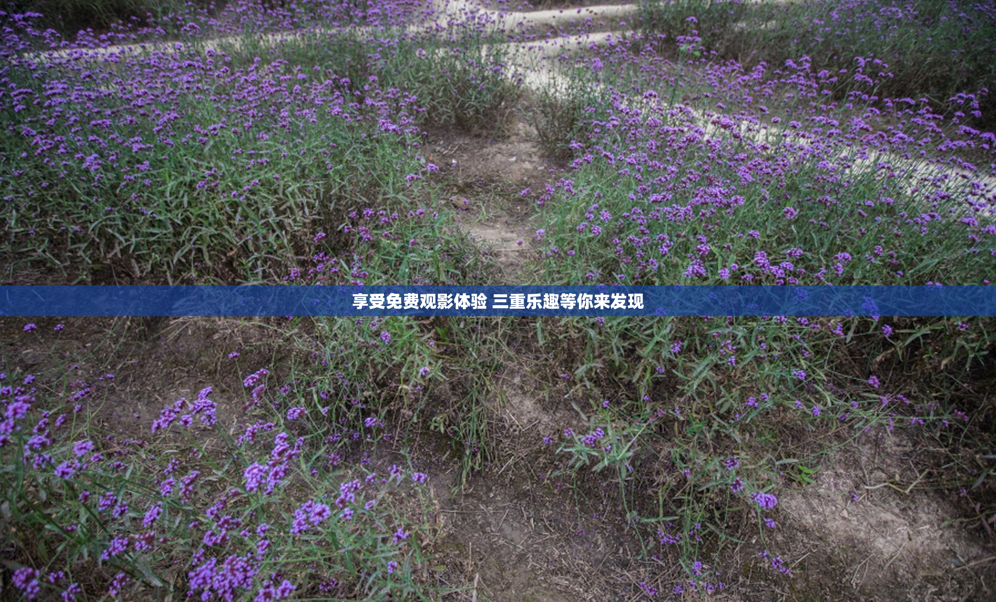 享受免费观影体验 三重乐趣等你来发现