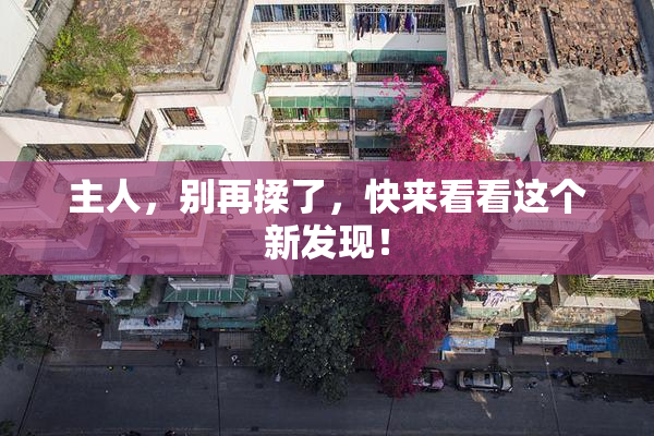 主人，别再揉了，快来看看这个新发现！