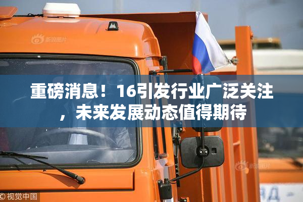 重磅消息！16引发行业广泛关注，未来发展动态值得期待