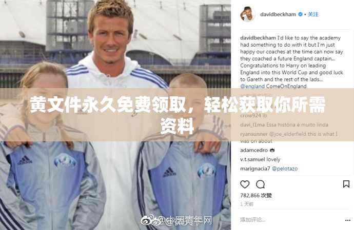 黄文件永久免费领取，轻松获取你所需资料