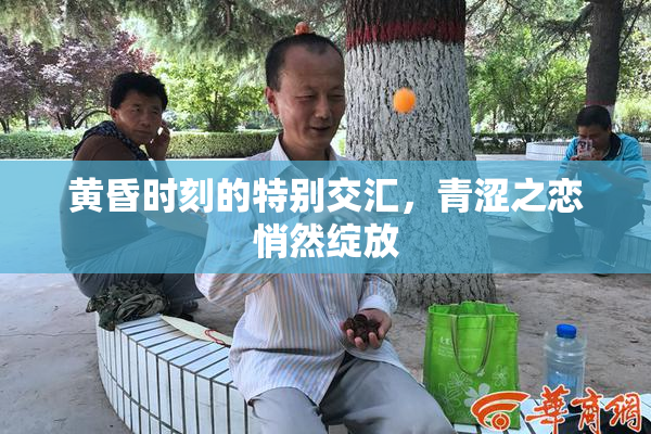 黄昏时刻的特别交汇，青涩之恋悄然绽放