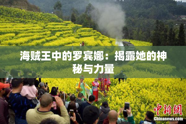 海贼王中的罗宾娜：揭露她的神秘与力量