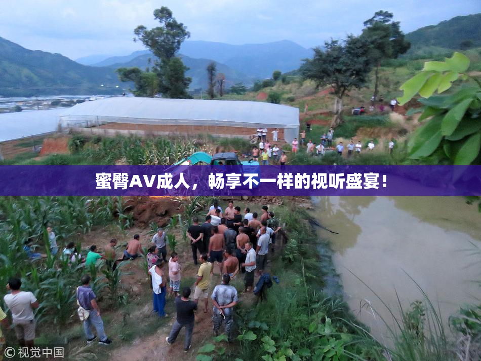 蜜臀AV成人，畅享不一样的视听盛宴！