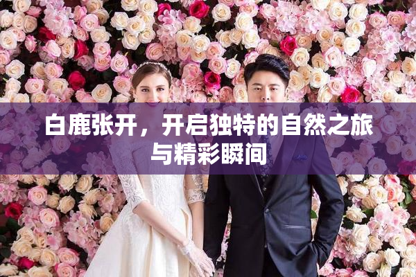 白鹿张开，开启独特的自然之旅与精彩瞬间