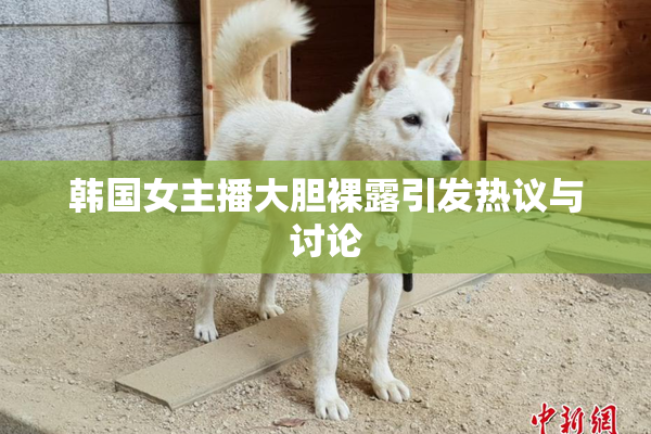 韩国女主播大胆裸露引发热议与讨论