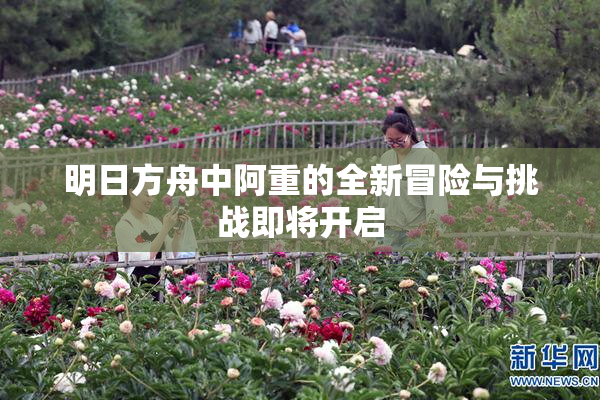 明日方舟中阿重的全新冒险与挑战即将开启