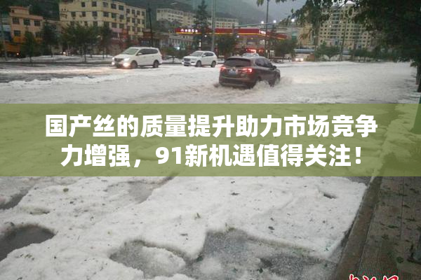 国产丝的质量提升助力市场竞争力增强，91新机遇值得关注！