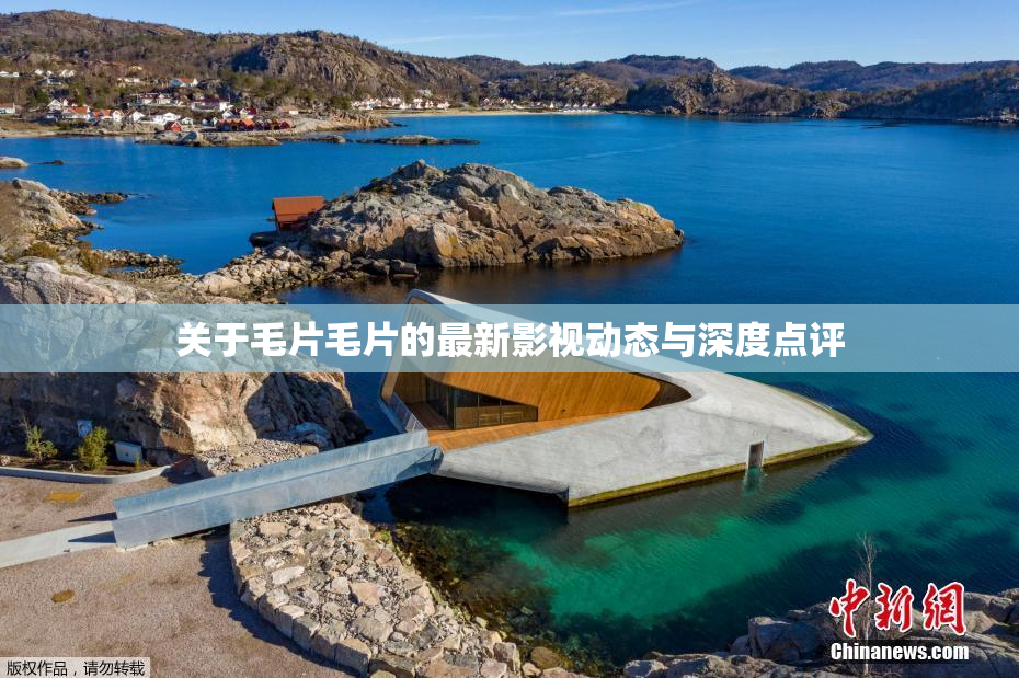 关于毛片毛片的最新影视动态与深度点评