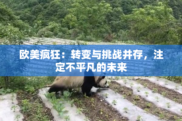 欧美疯狂：转变与挑战并存，注定不平凡的未来
